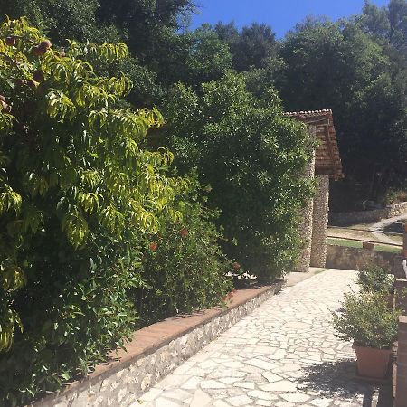 Belvedere Cramaccioli Vigne Luaran gambar
