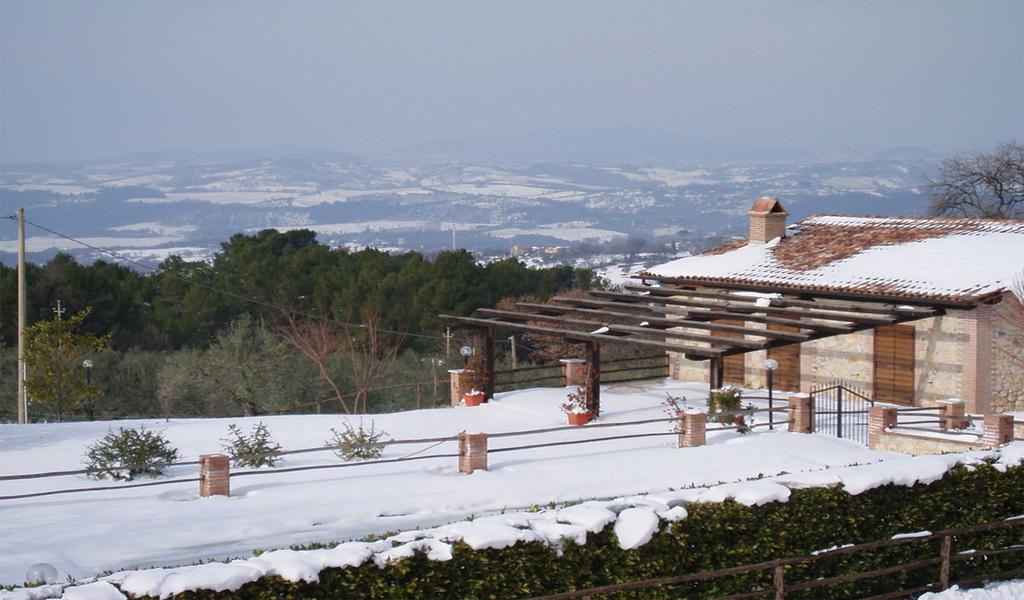 Belvedere Cramaccioli Vigne Luaran gambar