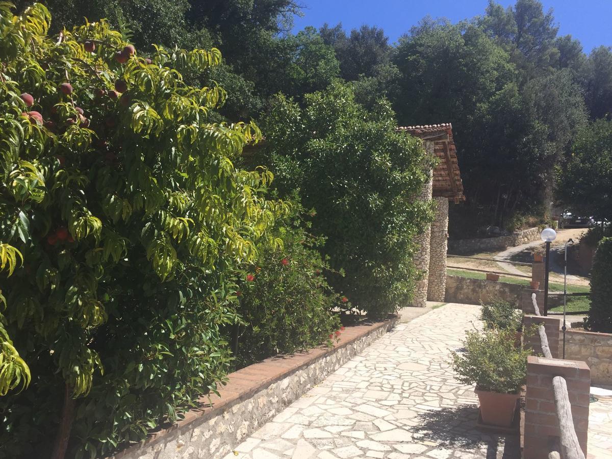 Belvedere Cramaccioli Vigne Luaran gambar