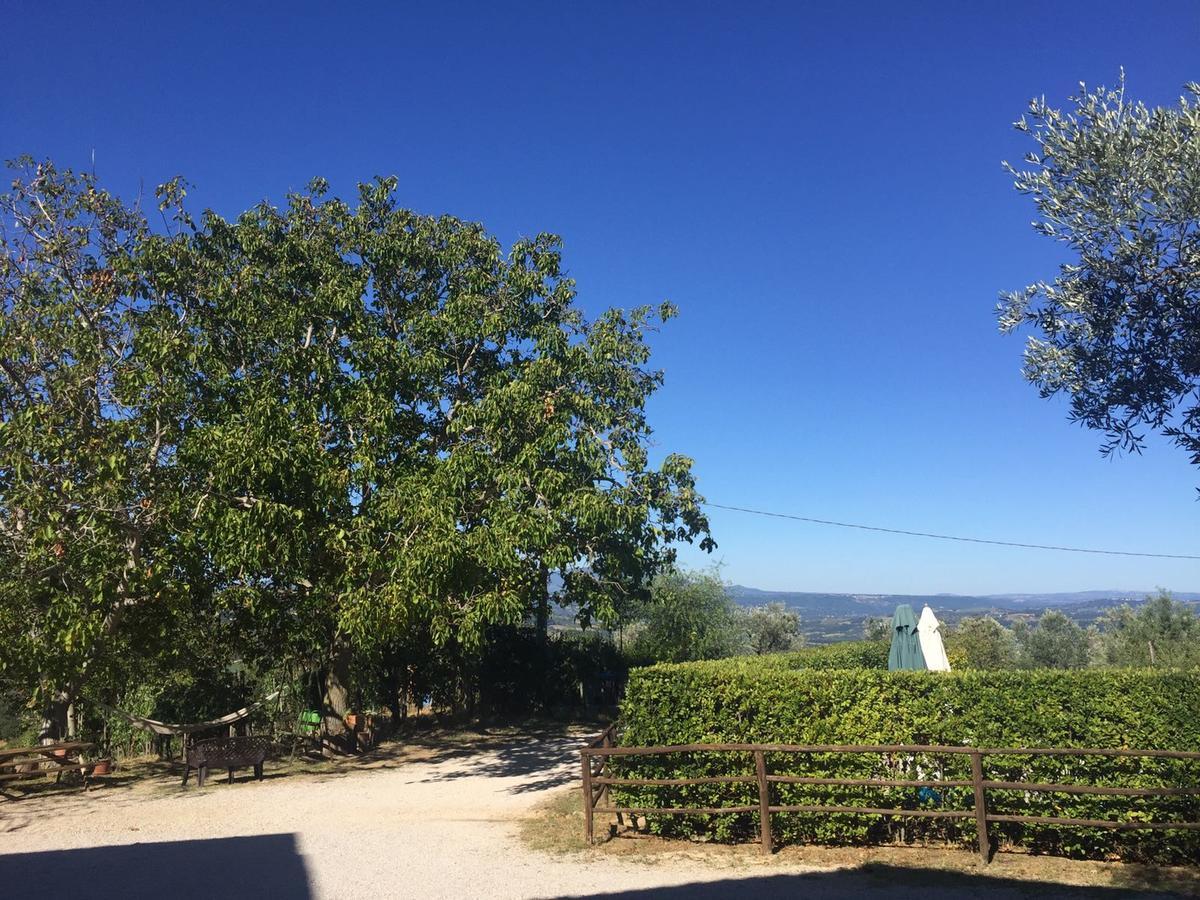 Belvedere Cramaccioli Vigne Luaran gambar